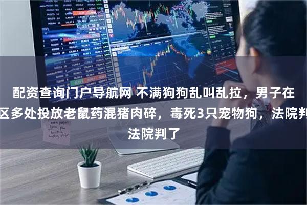 配资查询门户导航网 不满狗狗乱叫乱拉，男子在小区多处投放老鼠药混猪肉碎，毒死3只宠物狗，法院判了
